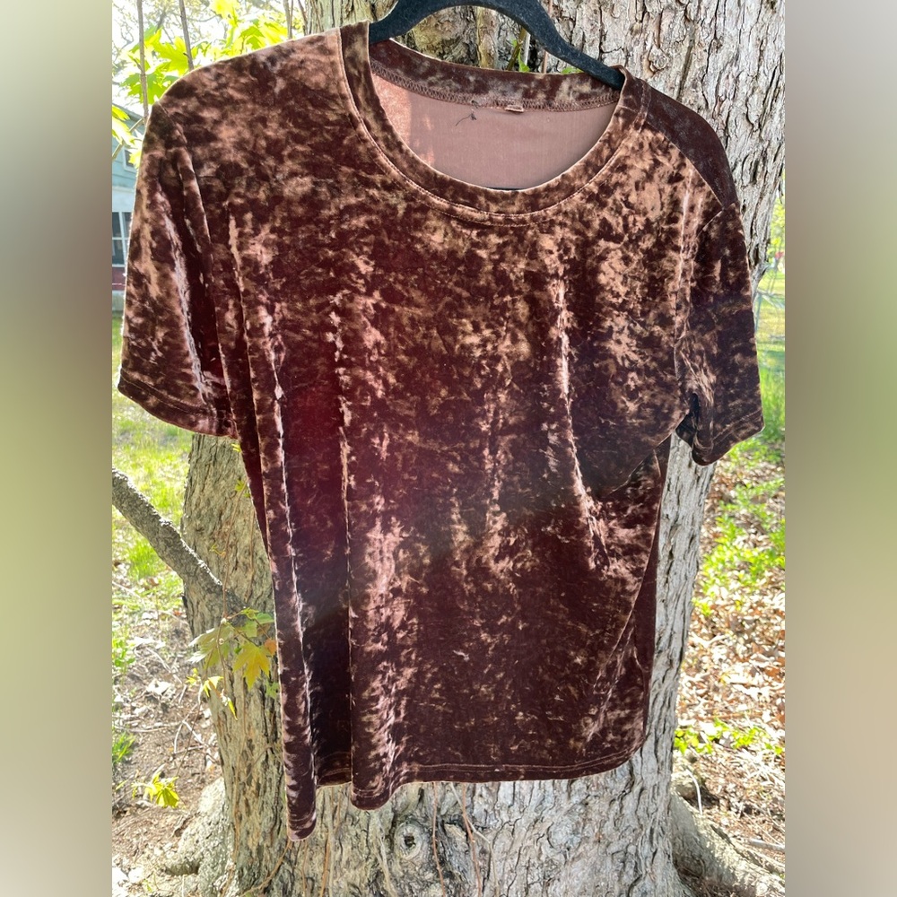 Karen Kane Brown Crushed Velvet Short Sleeve Top